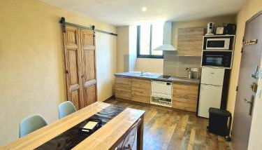 Appart Hôtel Du Grand Soleil - Foto 4, pet friendly, minibar