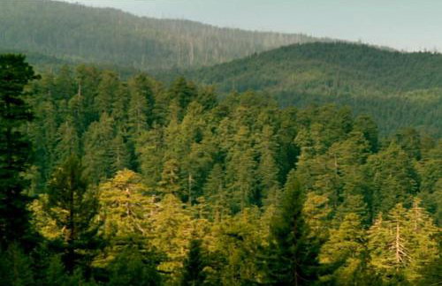 The Mill Stylish Rural Apartment with Beautiful Views - Foto 19