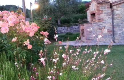 Agriturismo Valiana - Foto 6