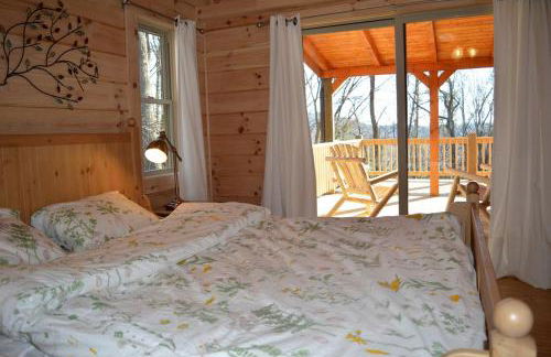 Beautifully Equipped Cabin for Luxury Getaway near Asheville, North Carolina - Foto 4