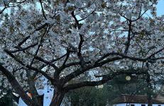 The Cozy Cub - Foto 17