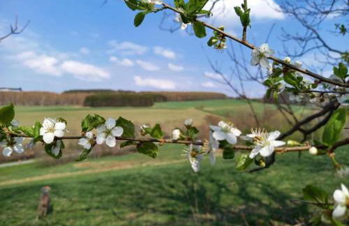 Cozy Escape in Walthersdorf - Foto 33
