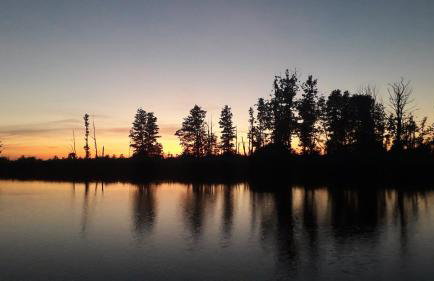 Ferienwohnung Sophienhof - Foto 21