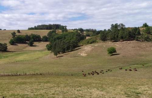 Chez Suzon - Foto 35