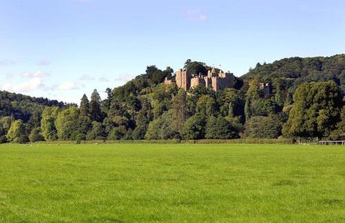 Elmhut Shepherd's Hut with Hot Tub - Foto 35