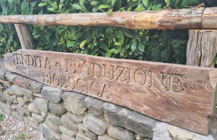 Agriturismo Podere Borgo Malnido - Foto 5