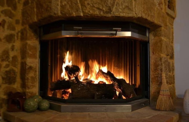 Platanus Gardenhouse - Photo 4