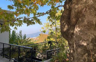 Holiday Home Neochori Pelion - Photo 17