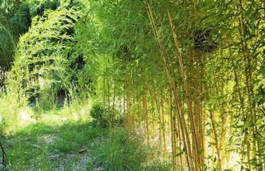 Etape à la campagne - Photo 19