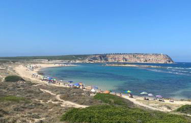 Ale house experience - Foto 69