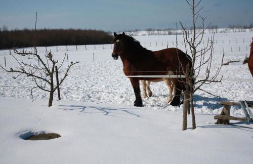 Landhaus Questin - Photo 23