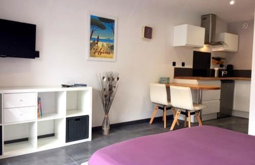 Plage à 400 m Studio tout confort Terrasse Clim Parking - Foto 24