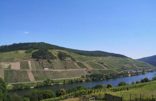 Casa Mosella - Foto 20