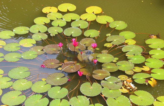 Da Nang - Hue City Tour - Da Nang - Photo 8