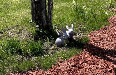 Secluded Upstate New York Glamping Cabin for the Ultimate Outdoor Adventure - Foto 15