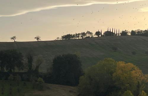 Vineyard Farmhouse in Massignano - Foto 28