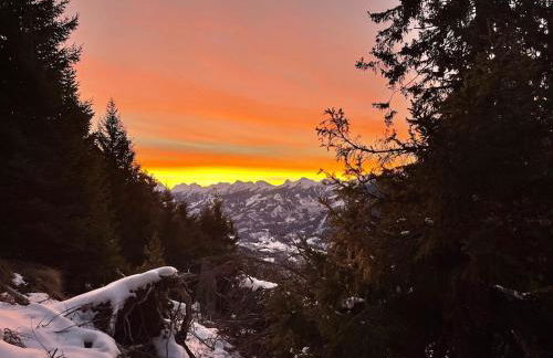 Appartamento Pineta casa vacanze Sci & Natura - Foto 48