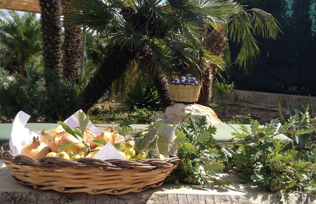 Casale Torre San Magno - Foto 68