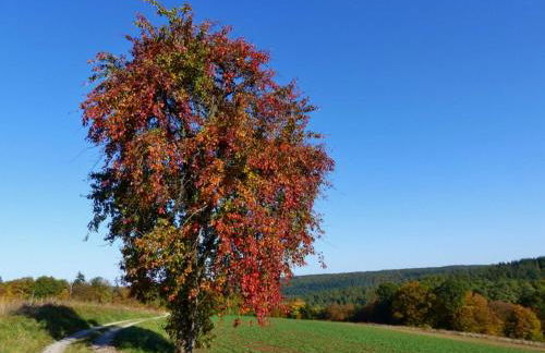 Ferienwohnungen Blumenschein - Foto 5