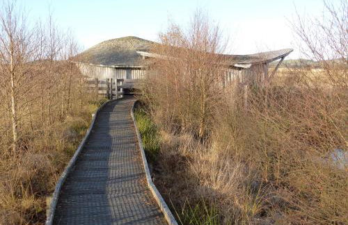 Ivy Bush Cottage - Photo 14