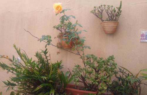 Apto 1 Quarto com Varanda e Estacionamento perto da praia - Foto 23