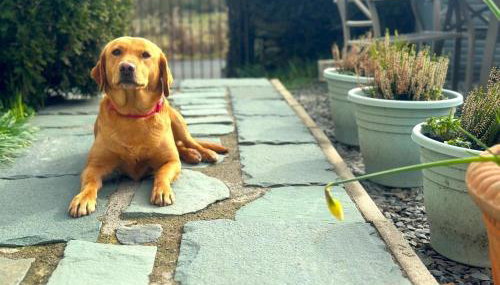 3 Bed in Ambleside oc-62587 - Foto 3, Other