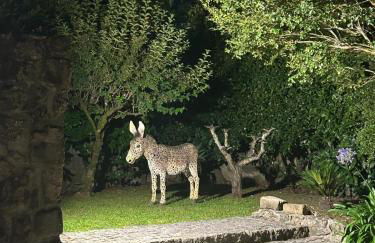 Casa dos três rapazes - Foto 6