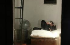 Dendrocopos Medius - Photo 10