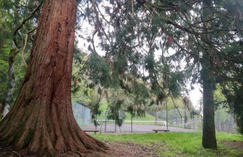 Studio au cœur des Volcans d Auvergne - Murol - Foto 14