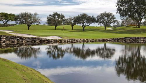 Meadow View on Kennewick Ct - Dog Friendly - Photo 3