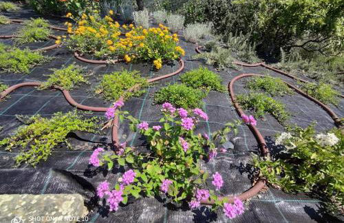 Walk and Relax Retreat - HOMY 5 TERRE - Foto 21