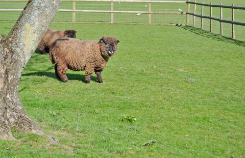 The Blue Loft - Foto 14