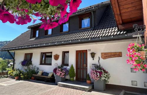 Aufblühen in Menzenschwand - Foto 29