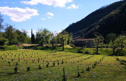 Podere Groppini - Foto 42