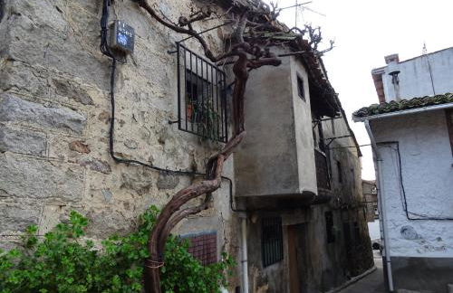 Villa-Piedralaves-aMatalasviñas-piscina-4 viviendas - Photo 10