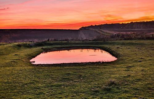 Raygill Shepherds Hut - Foto 24