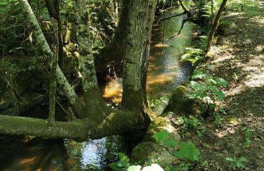 O Refúgio - Foto 61