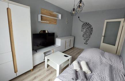 MagMar Studio Byczyna - Foto 1