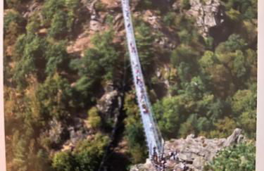 Le Polaire - Photo 20