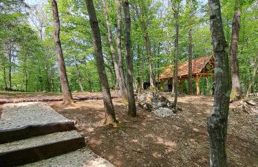 Guest house Mihovil - Foto 26