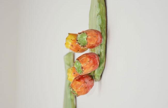 Tenuta Flora Maria - Foto 40