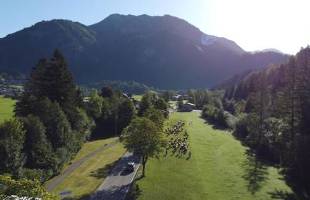 FeWo Fritz - Foto 36