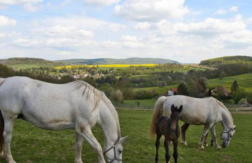 Ferienwohnung Gute Zeit - Foto 15