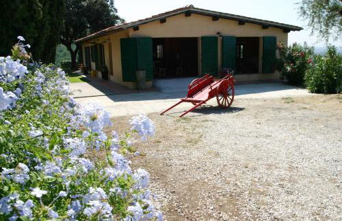 Agriturismo - Collina Toscana Resort - Foto 66