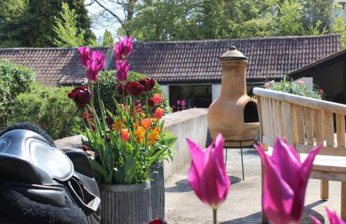 Pardlestone Farm – Self-Catering Cottages - Foto 66