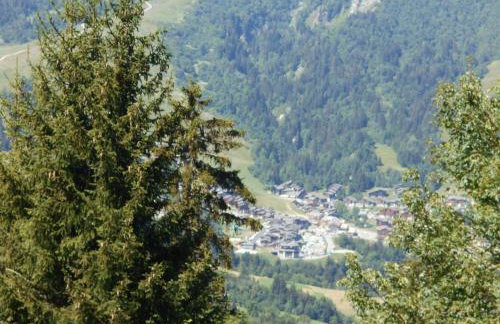 Le cheval blanc E7 - Photo 33