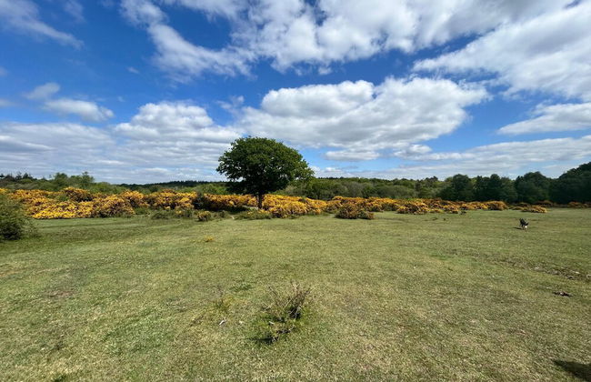 April Cottage - Foto 37