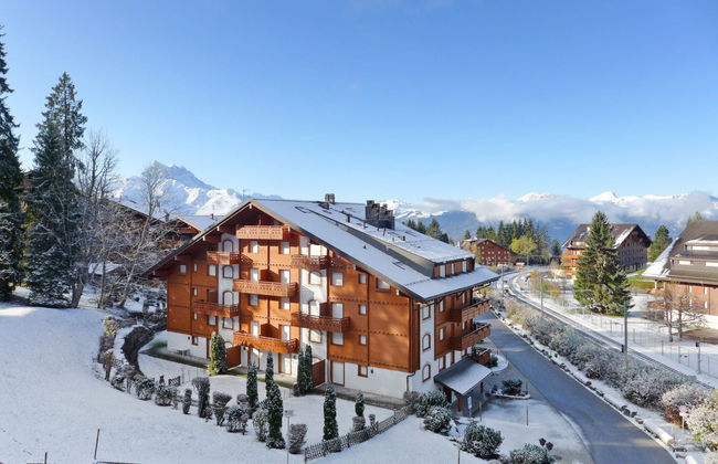 Rhodonite 33 - Foto 16