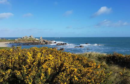 Maison de vacances bord de mer Sibiril Moguériec finistère la villa Léonie - Foto 34