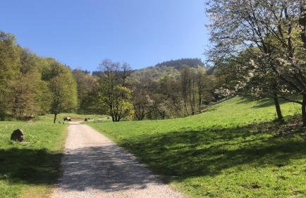 Waldläufer - Foto 14